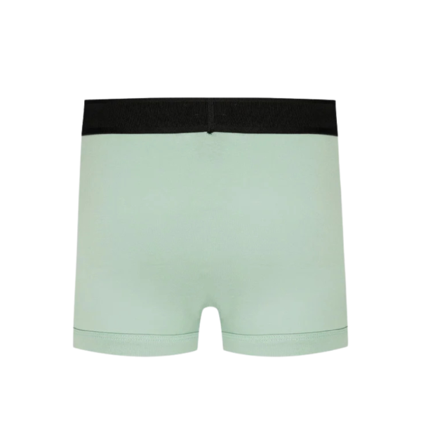 Boxer TOM FORD coton vert menthol