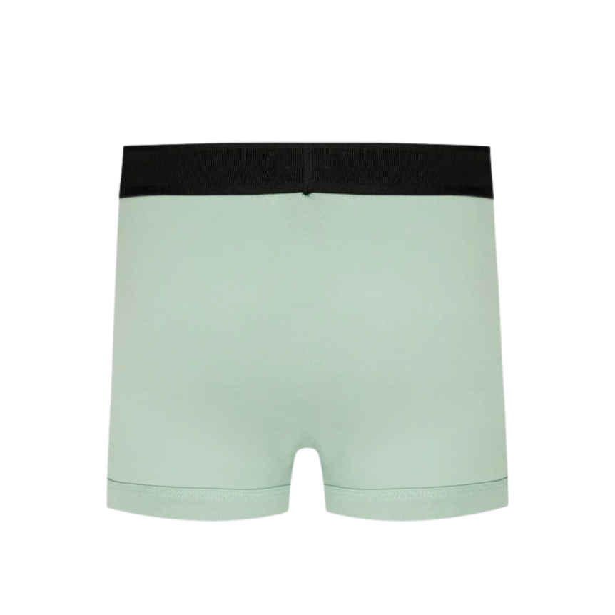Boxer TOM FORD coton vert menthol