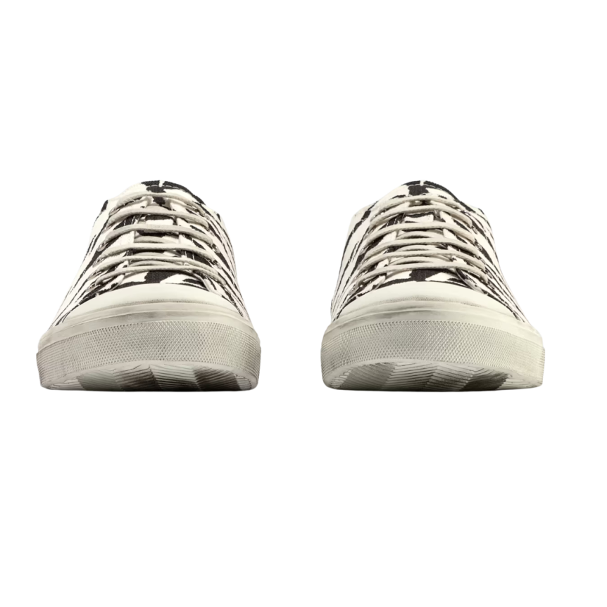 SAINT LAURENT baskets basses à lacets coton blanc imprimé zèbre