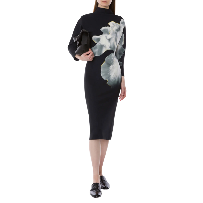 Robe midi ALBERTA FERRETTI manches longues viscose noire imprimée orchidée
