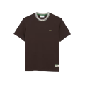 T-shirt jersey de coton bio marron col rayures vert