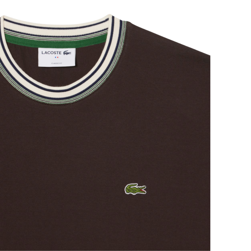 T-shirt LACOSTE jersey de coton bio marron col rayures vert