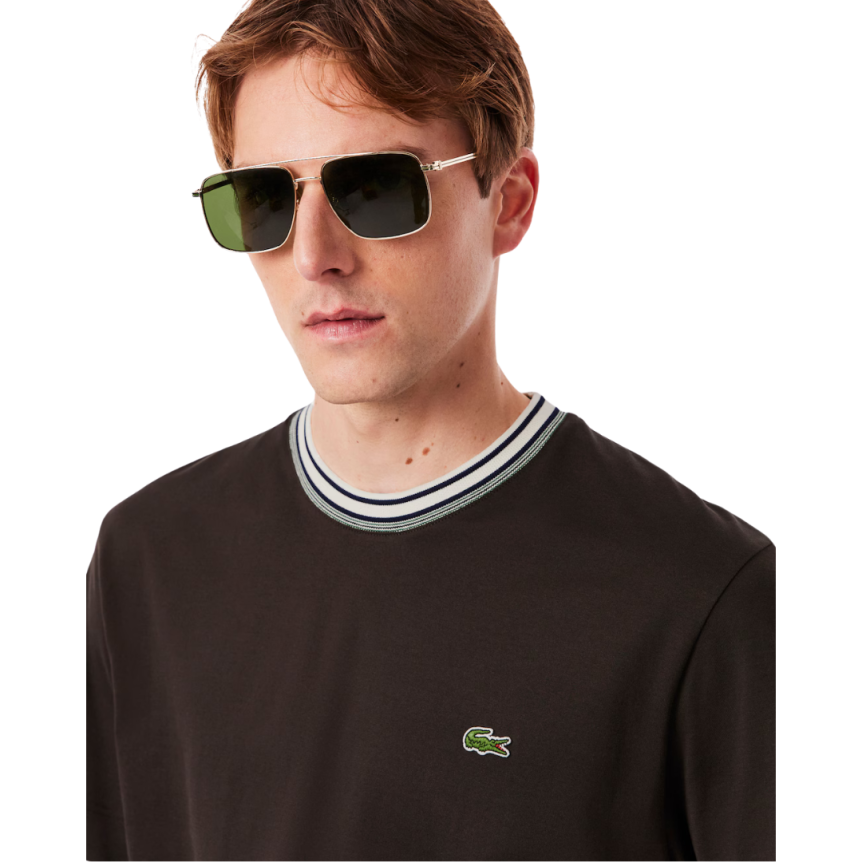 T-shirt LACOSTE jersey de coton bio marron col rayures vert