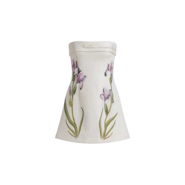Mini Robe bustier ALBERTA FERRETTI lin blanc imprimé iris