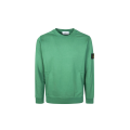 Sweat-shirt ras-du-cou regular manche raglan coton vert gazon