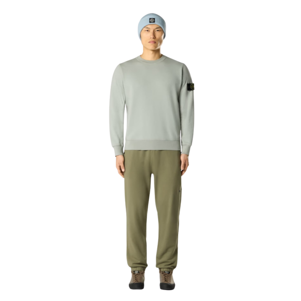 Sweat-shirt STONE ISLAND ras-du-cou regular manche raglan coton vert sauge