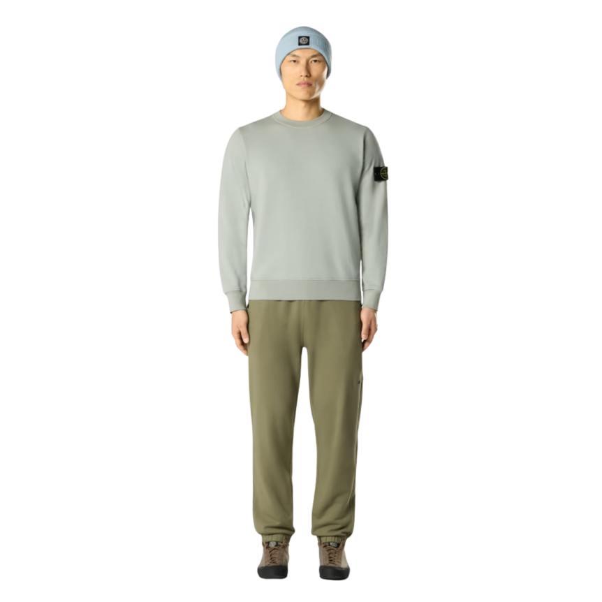 Sweat-shirt STONE ISLAND ras-du-cou regular manche raglan coton vert sauge