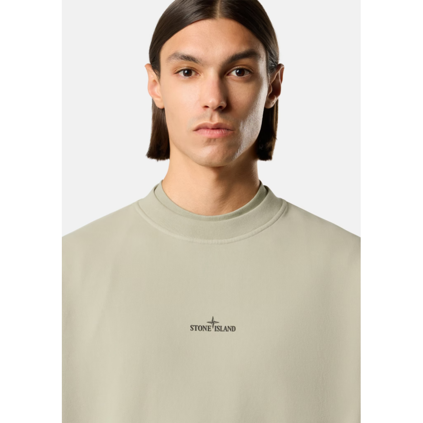 Sweat-shirt ras-du-cou STONE ISLAND oversize coton beige avec imprimé « Blurred Compass » flouté dos